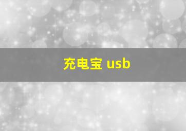 充电宝 usb